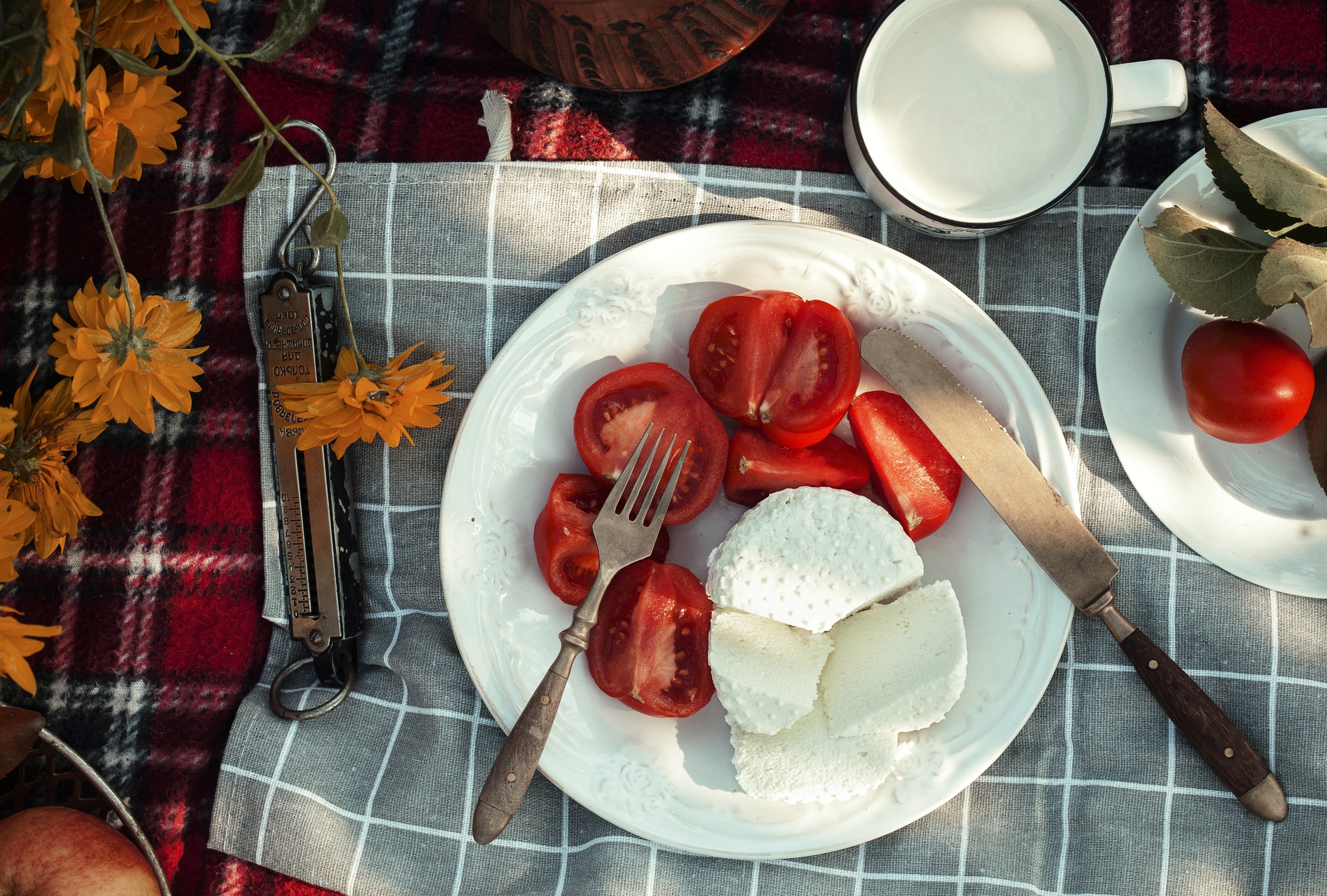 Легкий сывороточный сыр в лучших итальянских традициях на Вашем столе!